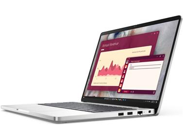 Dell Pro 14