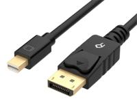 Mini DisplayPort til DisplayPort