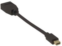 Mini DisplayPort adapter til DisplayPort